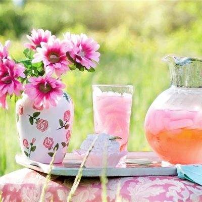 精灵x探险手游下载